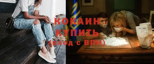 индика Киреевск