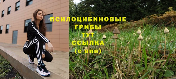 прущая мука Карталы