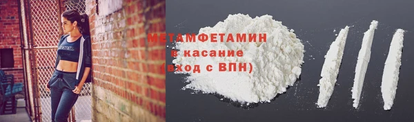 прущие грибы Козловка