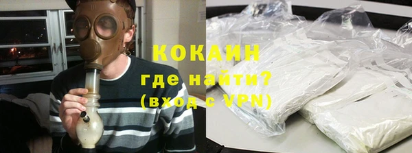 индика Киреевск