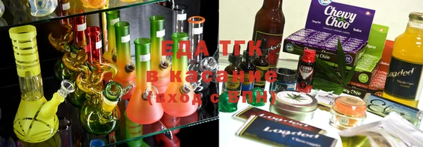 индика Киреевск