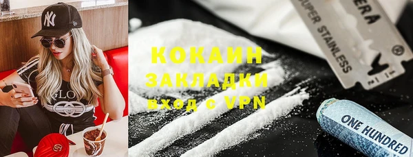 индика Киреевск