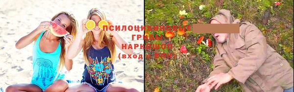 a pvp Киренск